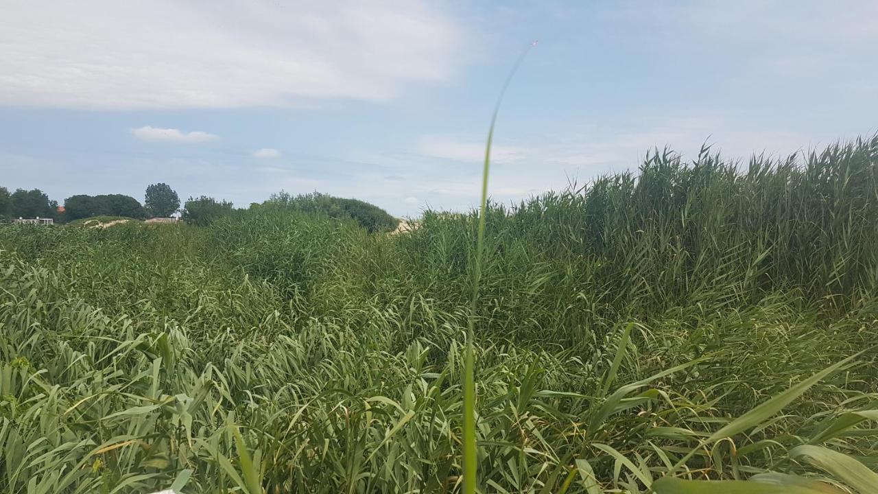 Студио Морски Бряг-Лозенец Exteriör bild